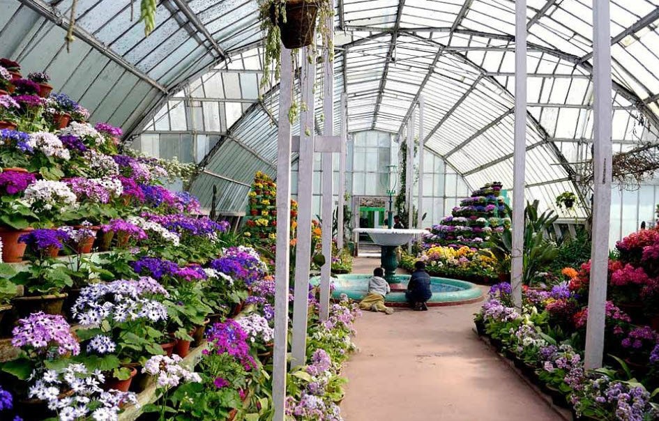 Lloyd Botanical Garden , , India